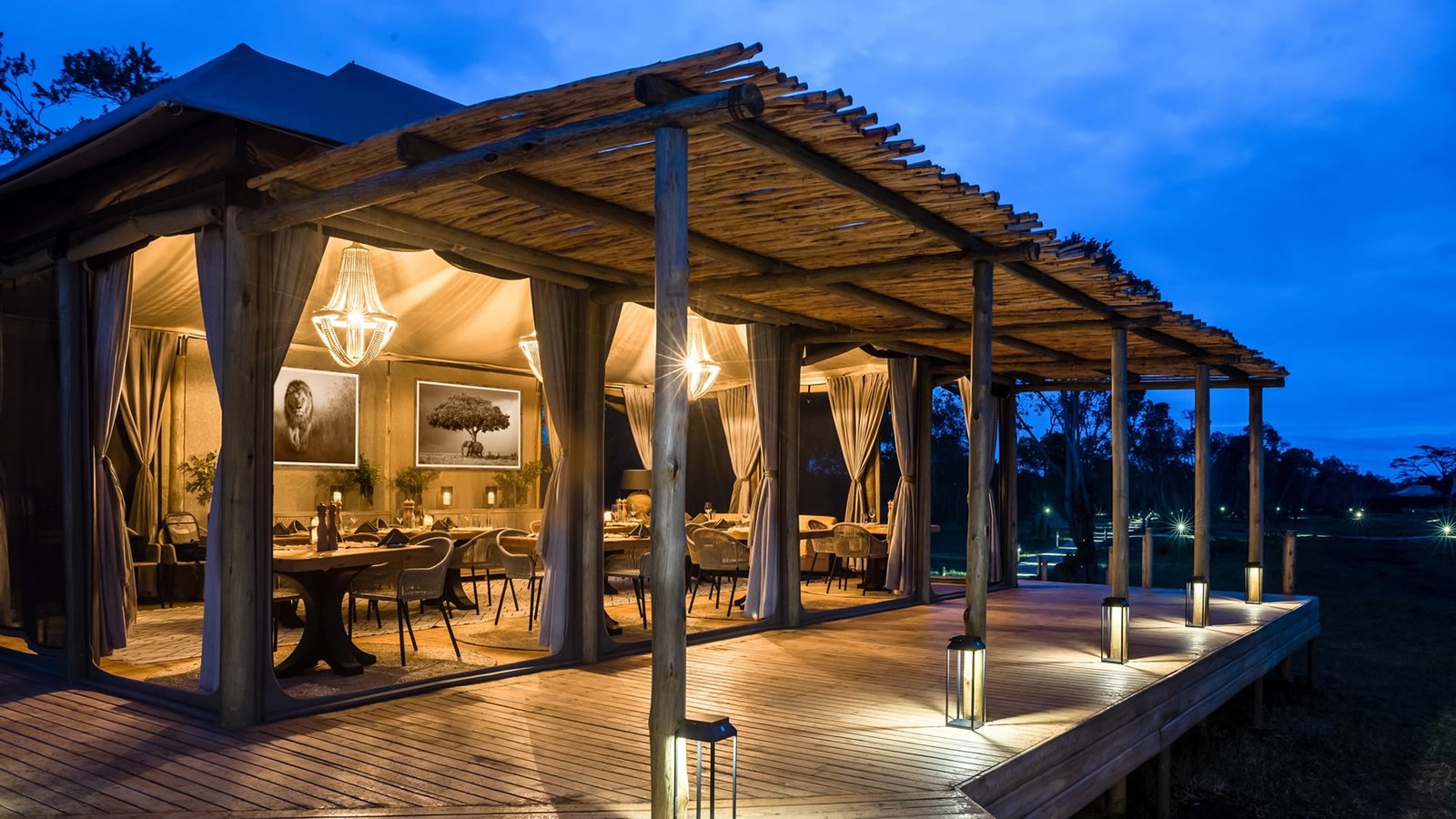 Luxury Conservancy Safari
